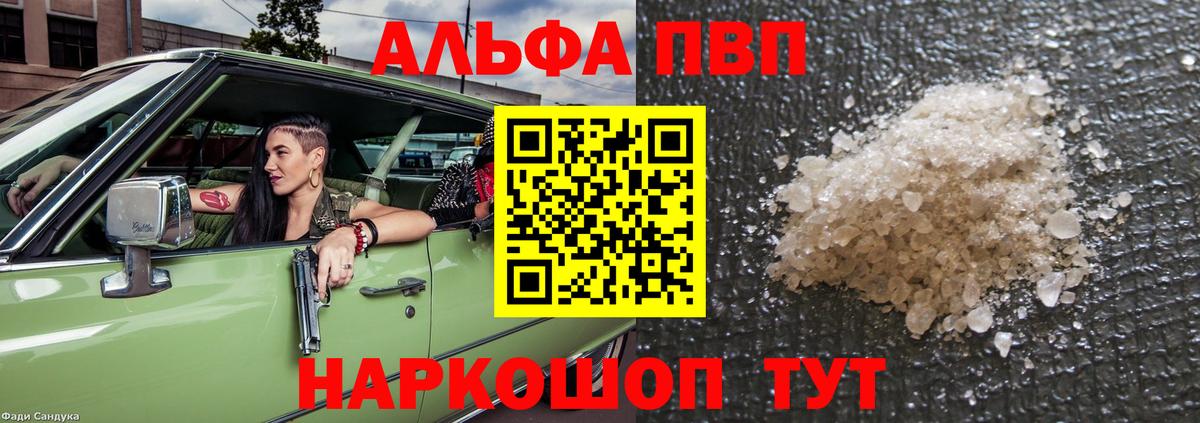 Альфа ПВП СК Вологда