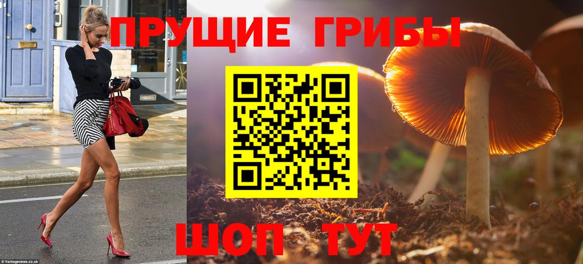 Галлюциногенные грибы MAGIC MUSHROOMS  Галлюциногенные грибы мухоморы  Вологда  Вход с VPN 